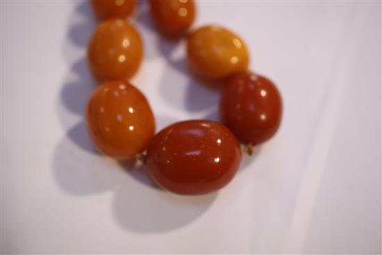 A single strand graduated oval amber bead necklace, 30in.